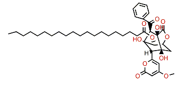 Enterocin 5-arachidate